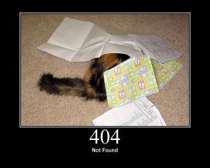 404 404 - Katzencontent
